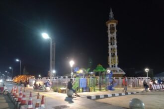 IMG 20260311 WA00241