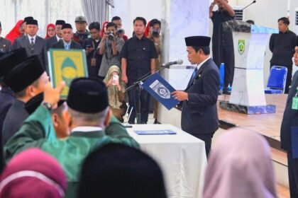 IMG 20260313 WA0032 1