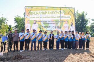 IMG 20260610 WA0326