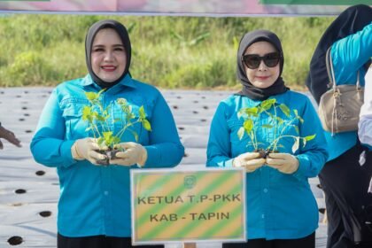 IMG 20260615 WA0181