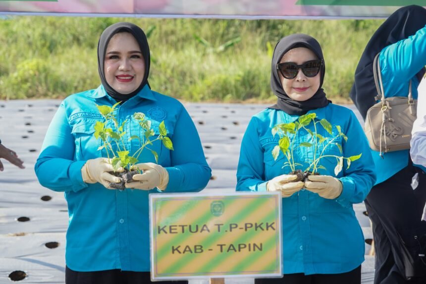 IMG 20260615 WA0181
