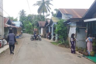 IMG 20260710 153306