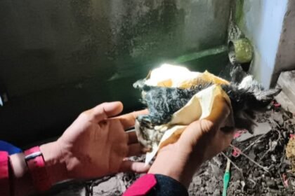 IMG 20260710 192115