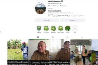 IMG 20260825 WA0012