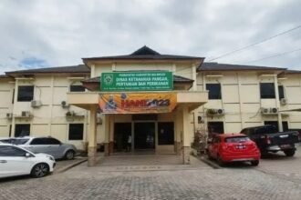 IMG 20261008 WA0010